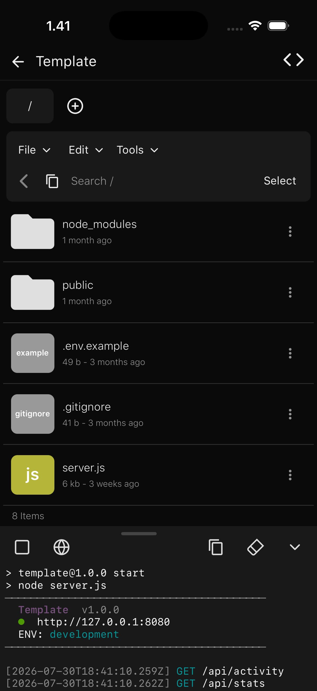 DevBox running on iPhone: code editor with a live preview