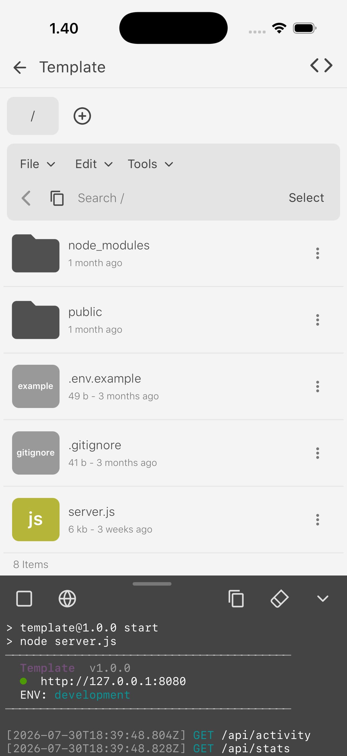 DevBox running on iPhone: code editor with a live preview